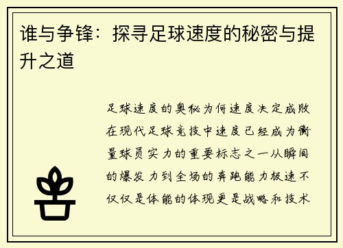谁与争锋：探寻足球速度的秘密与提升之道