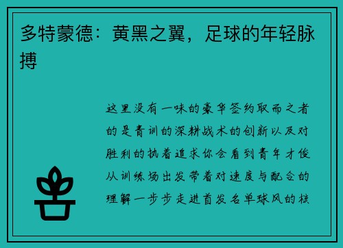 多特蒙德：黄黑之翼，足球的年轻脉搏