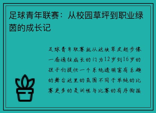 足球青年联赛：从校园草坪到职业绿茵的成长记